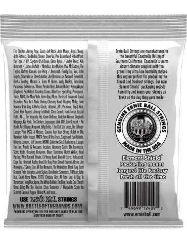 ERNIE BALL 2409 | MusicGoodDeal 2