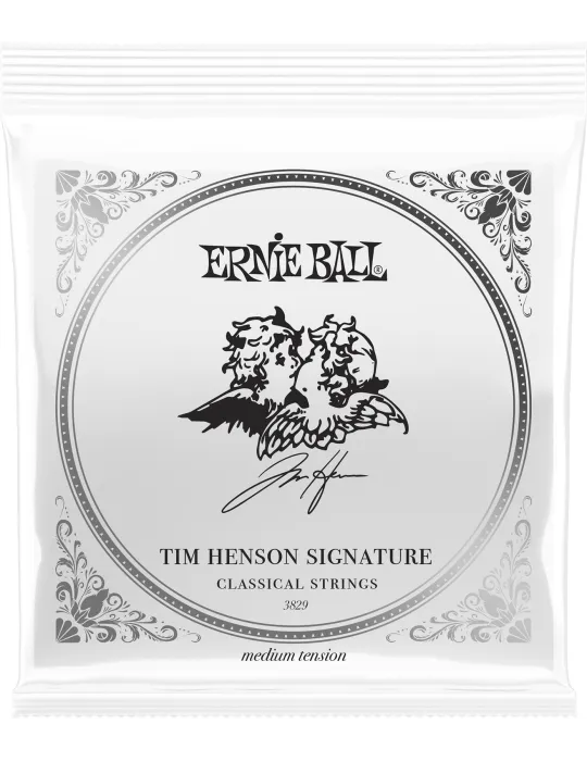 ERNIE BALL 3829 | MusicGoodDeal