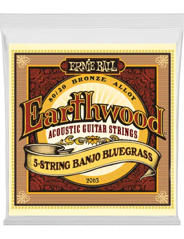 ERNIE BALL 2063 | MusicGoodDeal