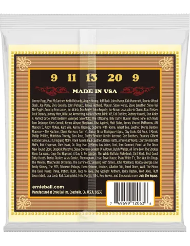 ERNIE BALL 2063 | MusicGoodDeal 2