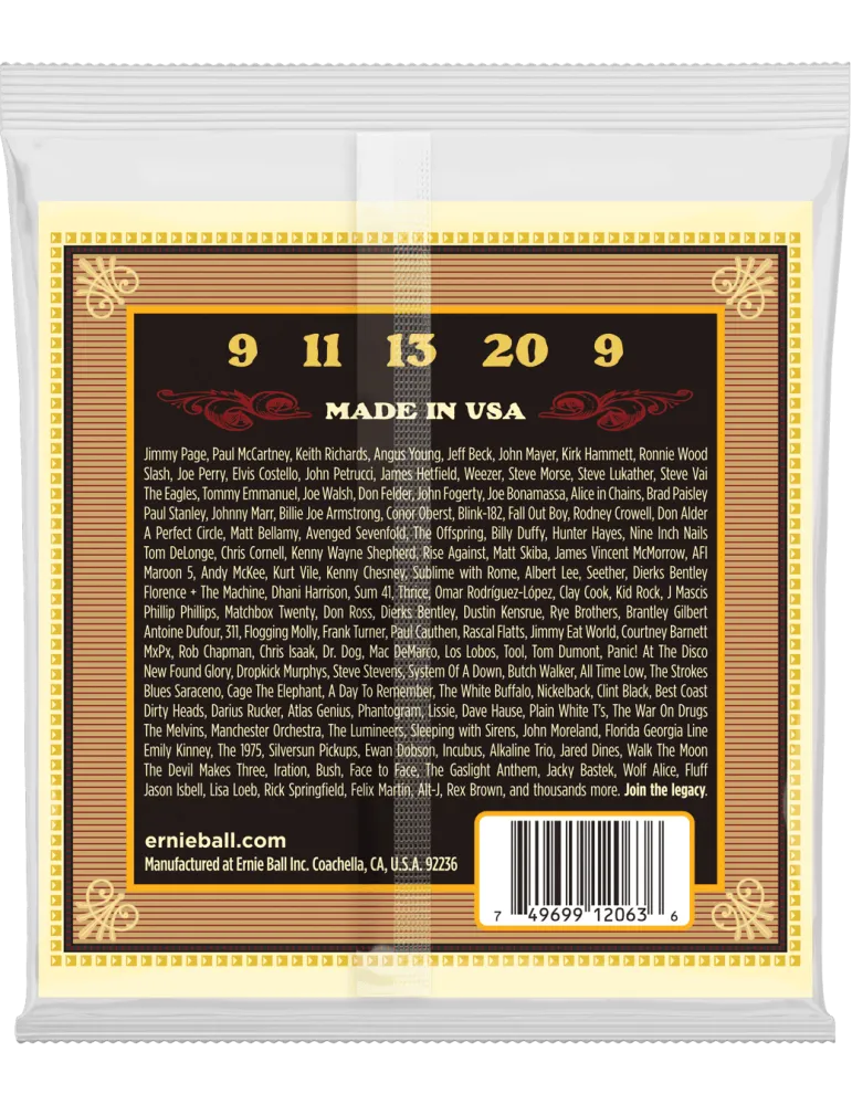 ERNIE BALL 2063 | MusicGoodDeal