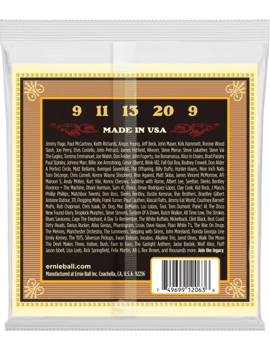 ERNIE BALL 2063 | MusicGoodDeal