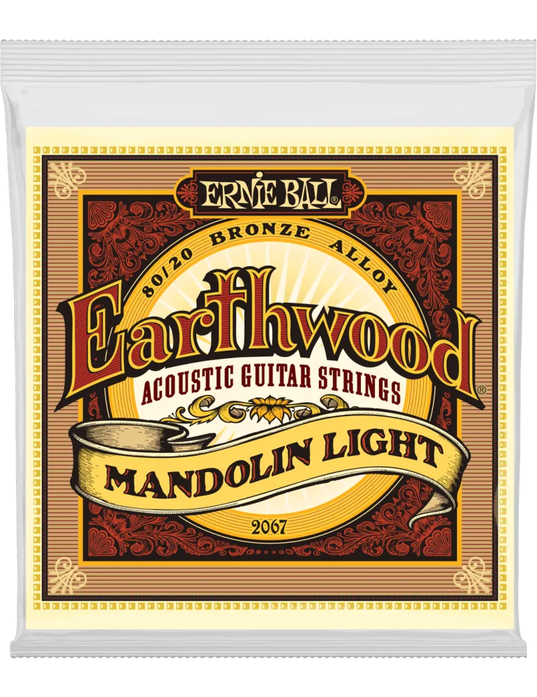 ERNIE BALL 2067 | MusicGoodDeal