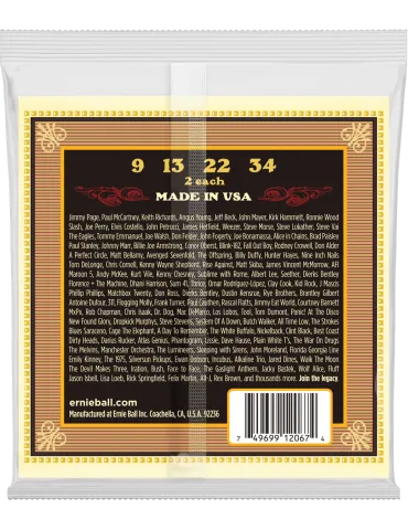 ERNIE BALL 2067 | MusicGoodDeal 2
