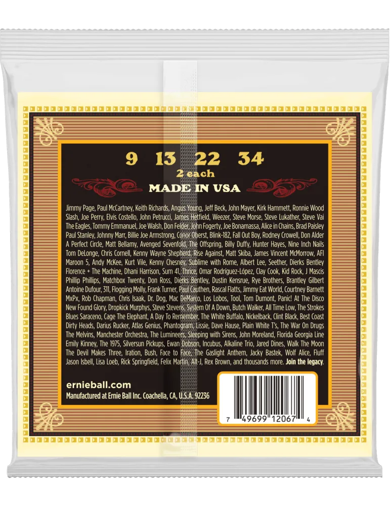 ERNIE BALL 2067 | MusicGoodDeal
