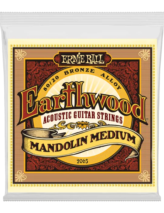ERNIE BALL 2065 | MusicGoodDeal
