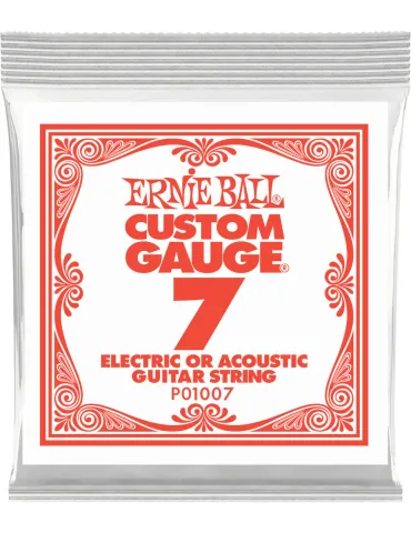 ERNIE BALL 1007 | MusicGoodDeal
