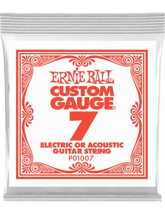 ERNIE BALL 1007 | MusicGoodDeal