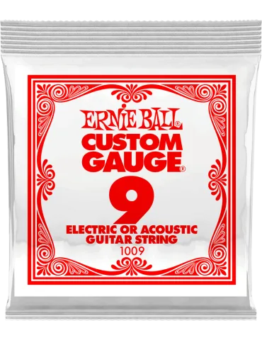 ERNIE BALL 1009 | MusicGoodDeal