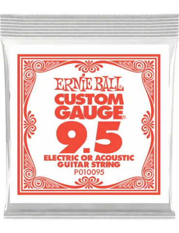 ERNIE BALL 010095 | MusicGoodDeal