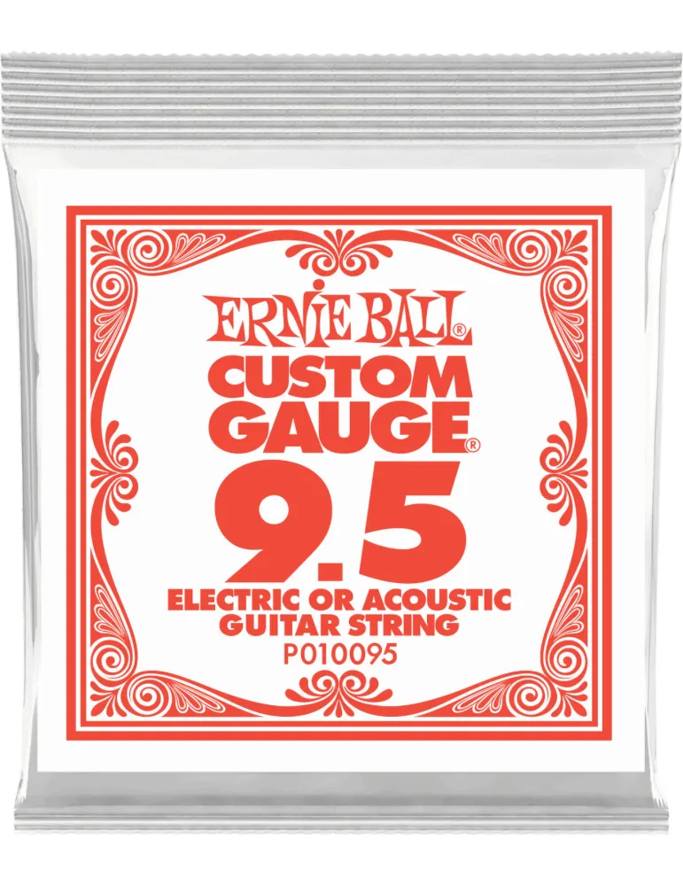 ERNIE BALL 010095 | MusicGoodDeal