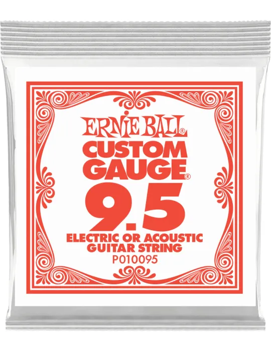 ERNIE BALL 010095 | MusicGoodDeal