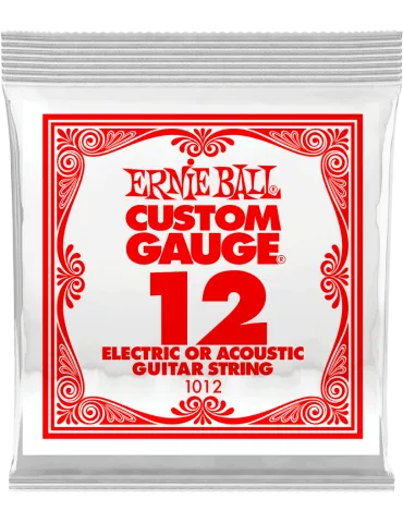 ERNIE BALL 1012 | MusicGoodDeal