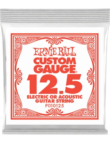 ERNIE BALL 010125 | MusicGoodDeal