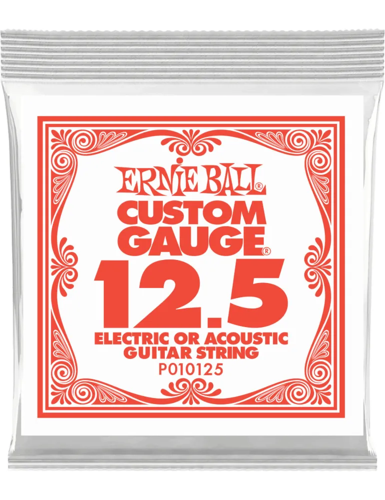 ERNIE BALL 010125 | MusicGoodDeal