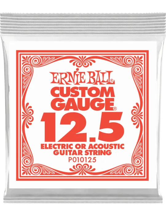 ERNIE BALL 010125 | MusicGoodDeal