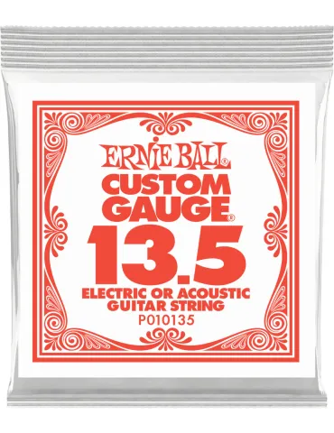 ERNIE BALL 010135 | MusicGoodDeal