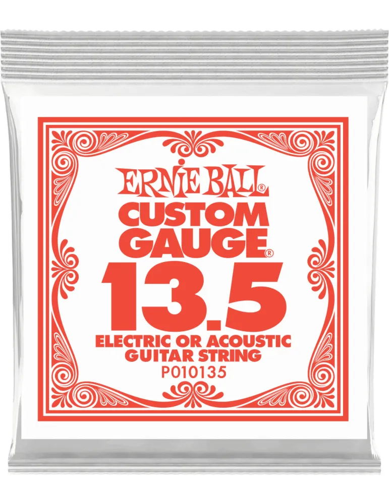 ERNIE BALL 010135 | MusicGoodDeal