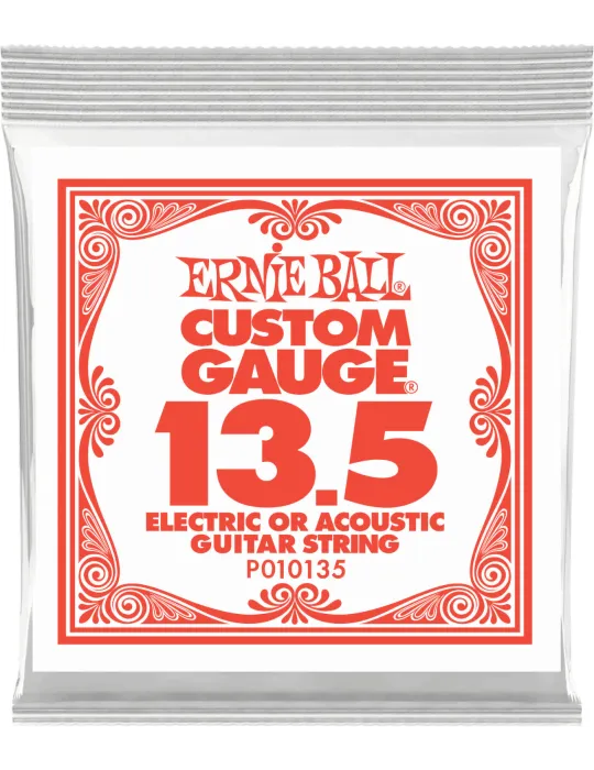 ERNIE BALL 010135 | MusicGoodDeal