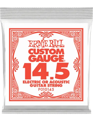 ERNIE BALL 010145 | MusicGoodDeal