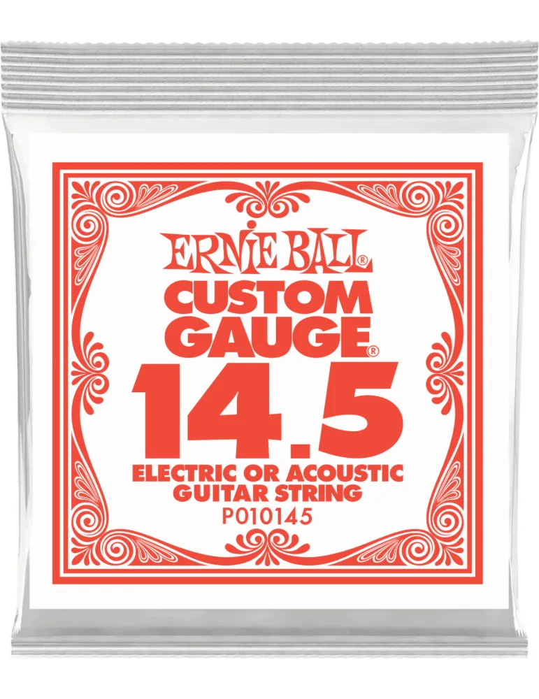 ERNIE BALL 010145 | MusicGoodDeal