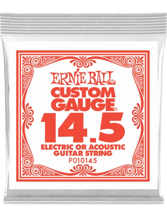 ERNIE BALL 010145 | MusicGoodDeal