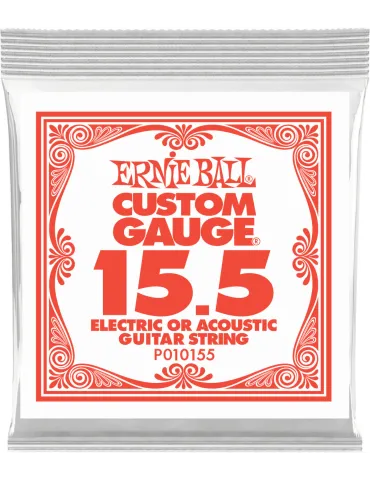 ERNIE BALL 010155 | MusicGoodDeal