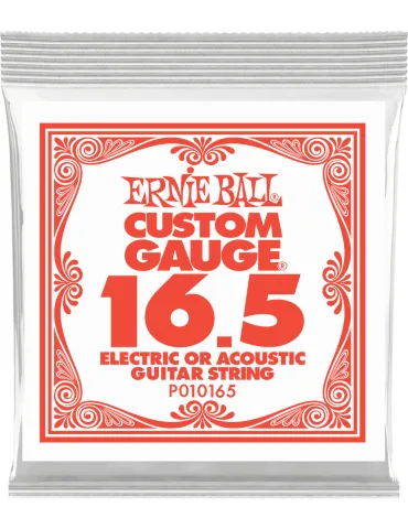 ERNIE BALL 010165 | MusicGoodDeal