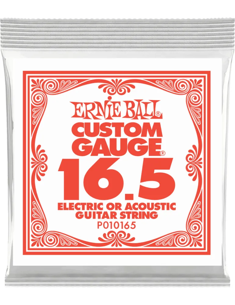 ERNIE BALL 010165 | MusicGoodDeal