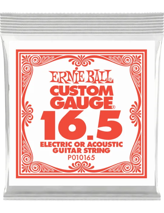 ERNIE BALL 010165 | MusicGoodDeal