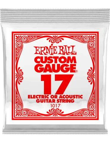 ERNIE BALL 1017