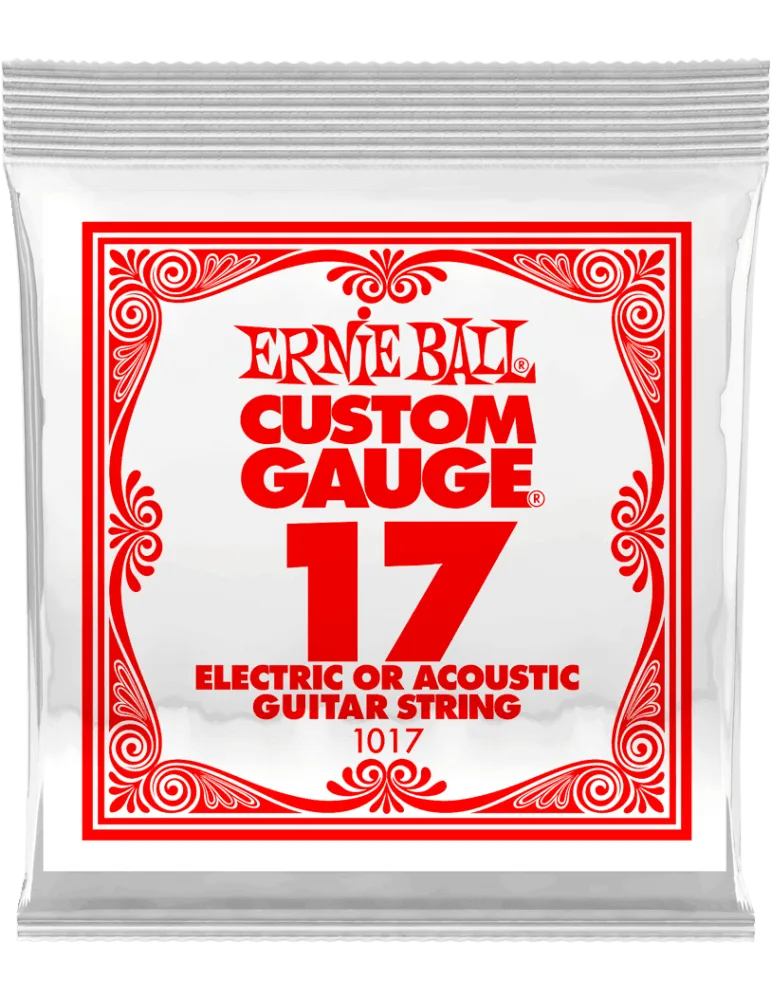 ERNIE BALL 1017 | MusicGoodDeal