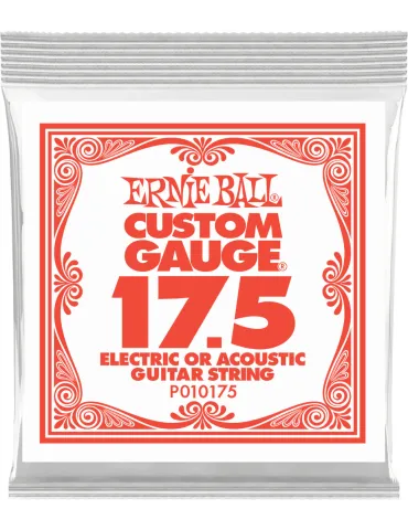 ERNIE BALL 010175 | MusicGoodDeal