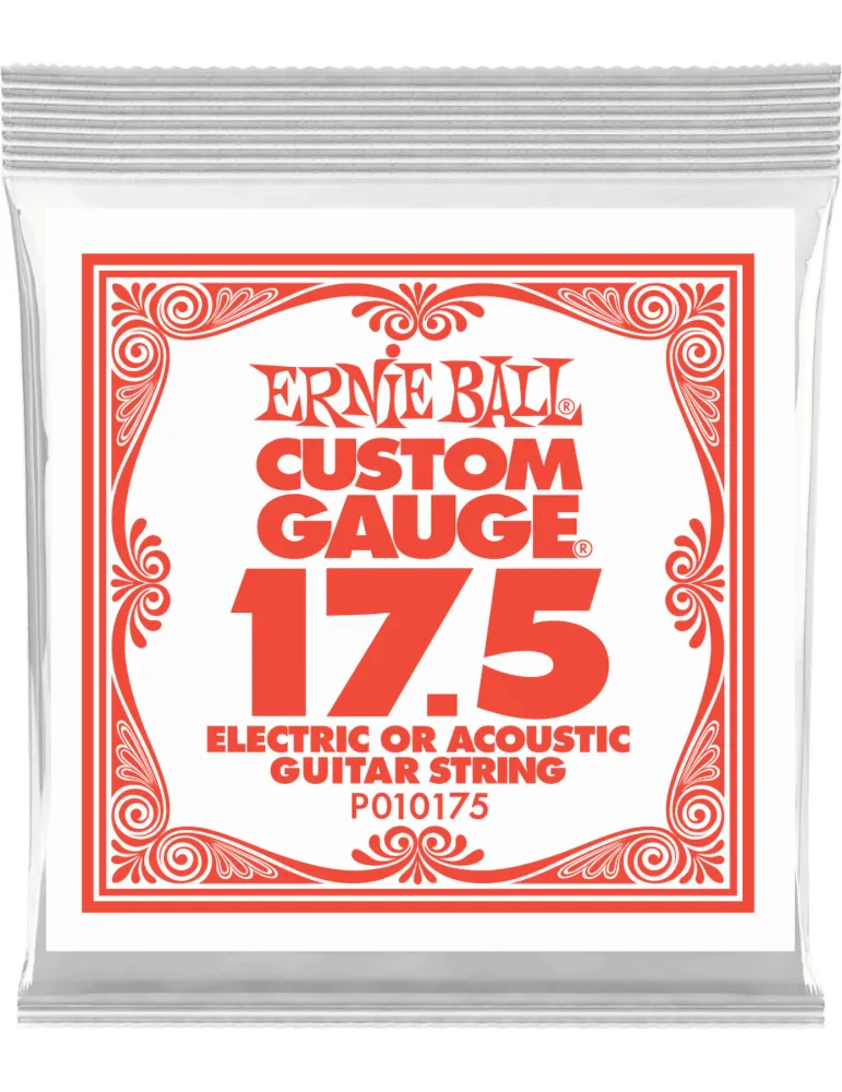 ERNIE BALL 010175 | MusicGoodDeal