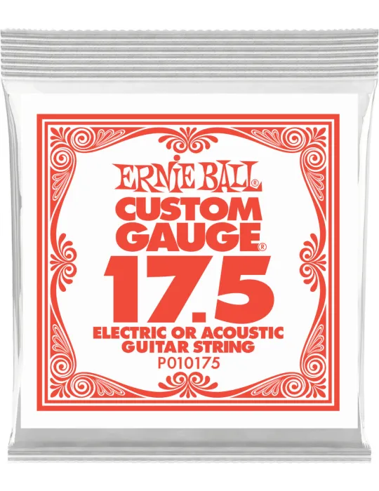 ERNIE BALL 010175 | MusicGoodDeal
