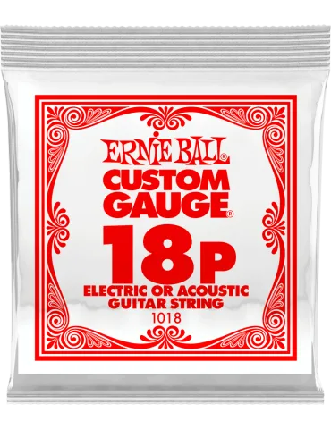 ERNIE BALL 1018