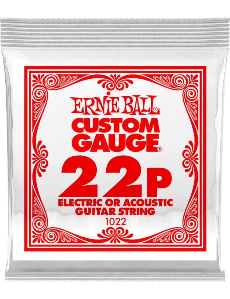 ERNIE BALL 1022 | MusicGoodDeal