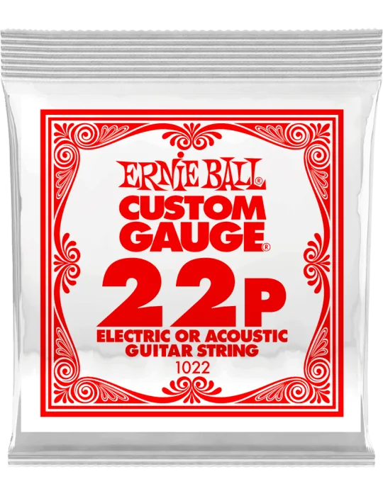 ERNIE BALL 1022 | MusicGoodDeal