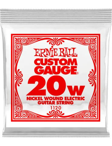 ERNIE BALL 1120 | MusicGoodDeal
