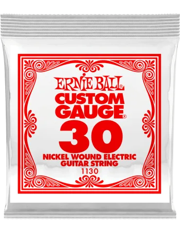 ERNIE BALL 1130