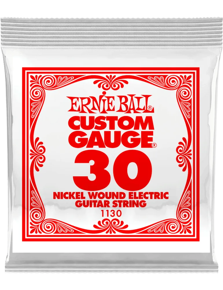 ERNIE BALL 1130 | MusicGoodDeal