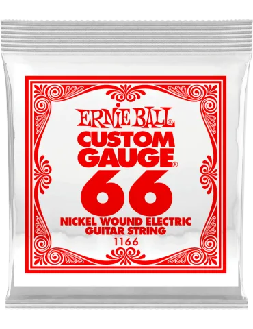ERNIE BALL 1166 | MusicGoodDeal