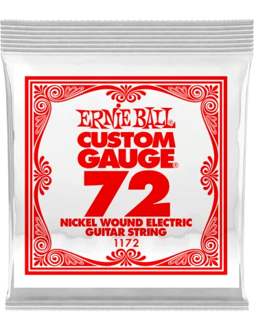 ERNIE BALL 1172 | MusicGoodDeal