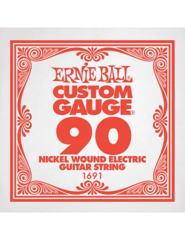 ERNIE BALL 1691 | MusicGoodDeal