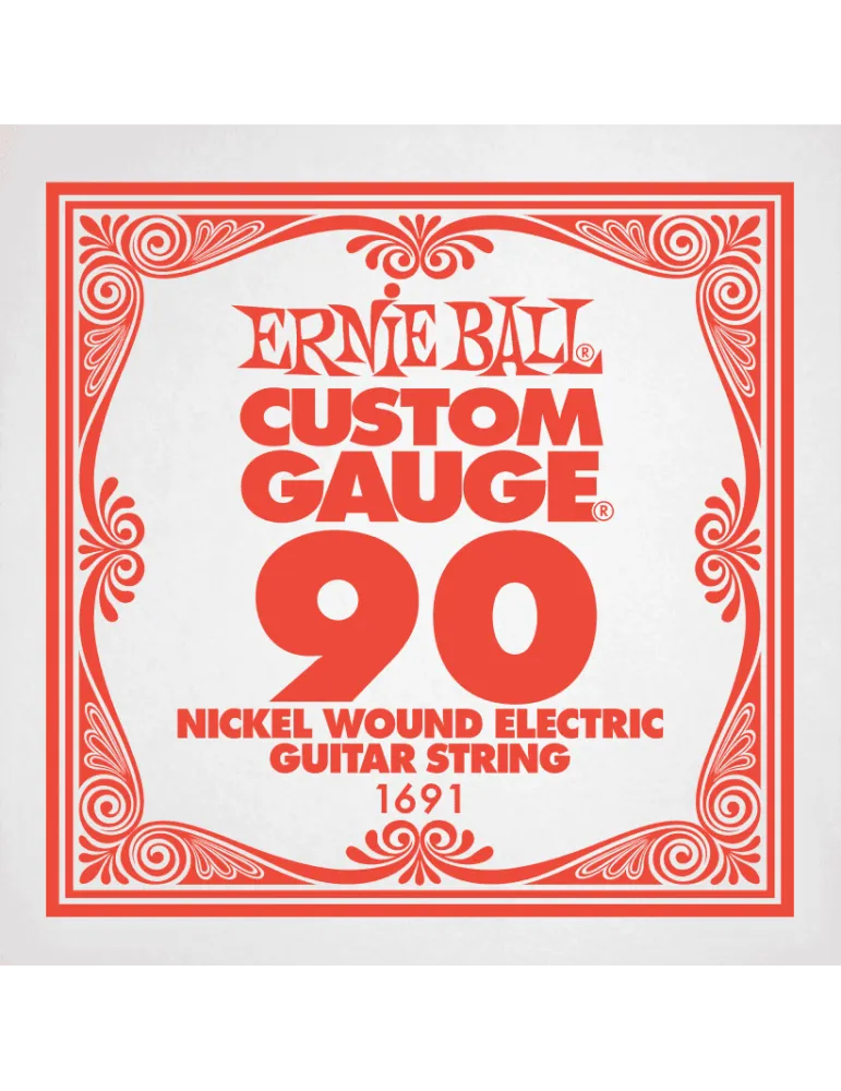 ERNIE BALL 1691 | MusicGoodDeal