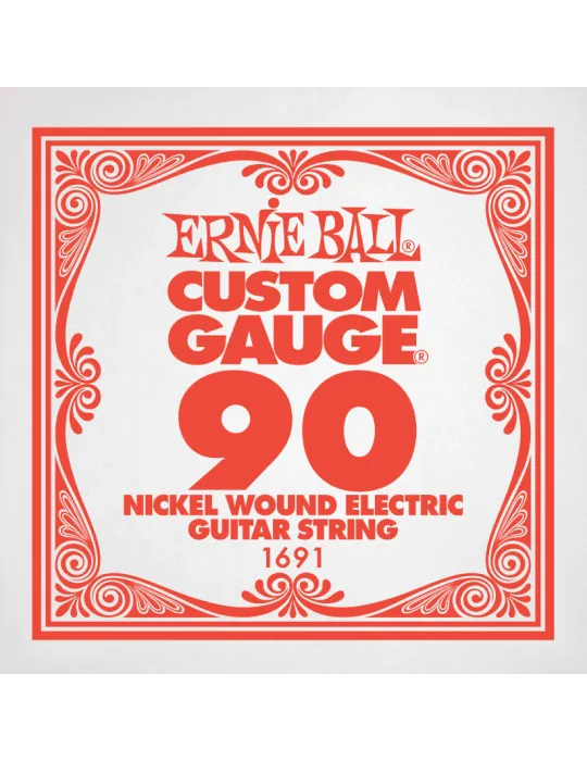 ERNIE BALL 1691 | MusicGoodDeal
