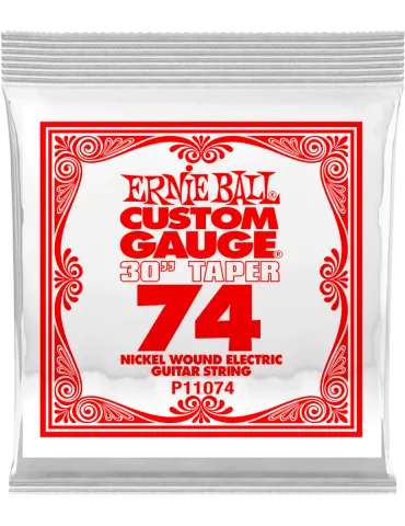 ERNIE BALL 11074 | MusicGoodDeal
