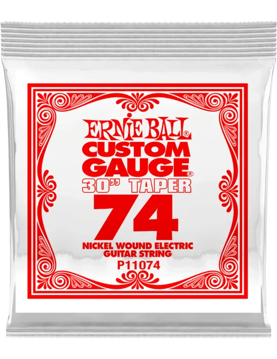 ERNIE BALL 11074 | MusicGoodDeal