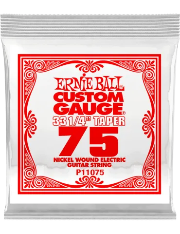 ERNIE BALL 11075 | MusicGoodDeal