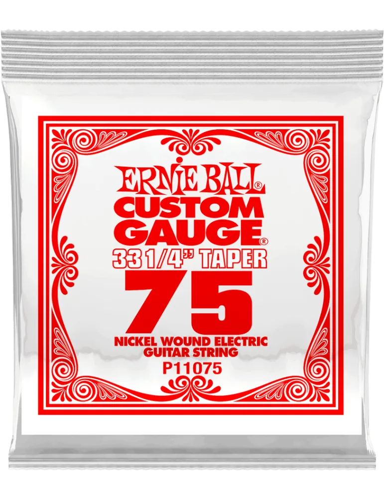 ERNIE BALL 11075 | MusicGoodDeal